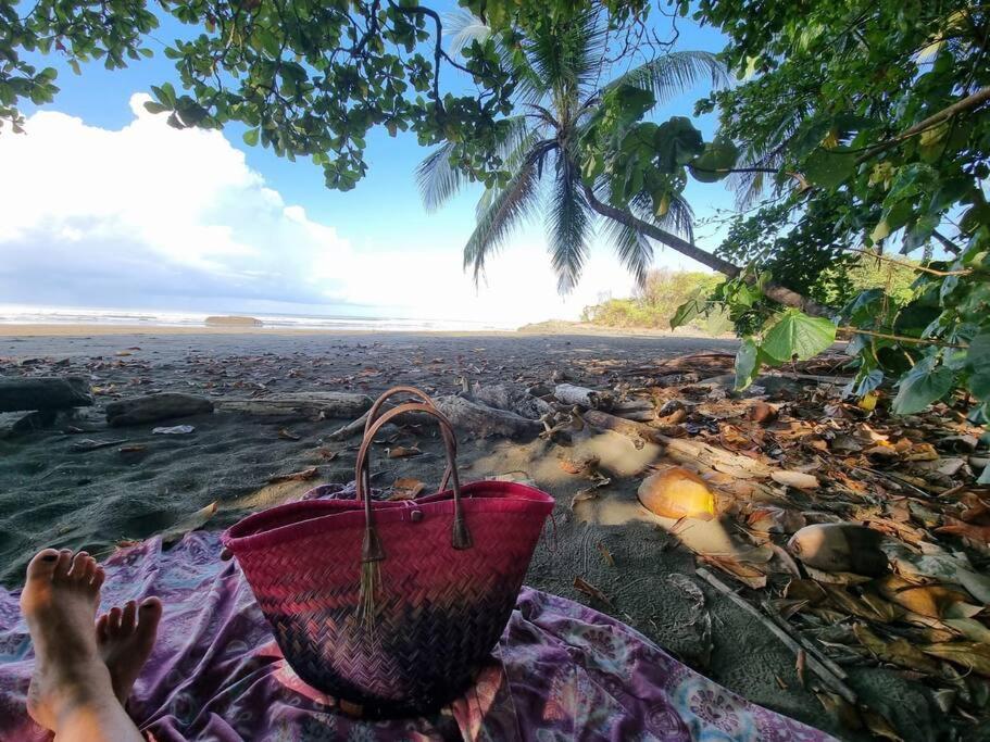 Villa Amor Del Mar With Breathtaking View Of Ocean & Jungle Dominical Bagian luar foto