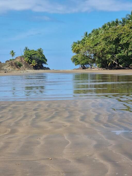 Villa Amor Del Mar With Breathtaking View Of Ocean & Jungle Dominical Bagian luar foto