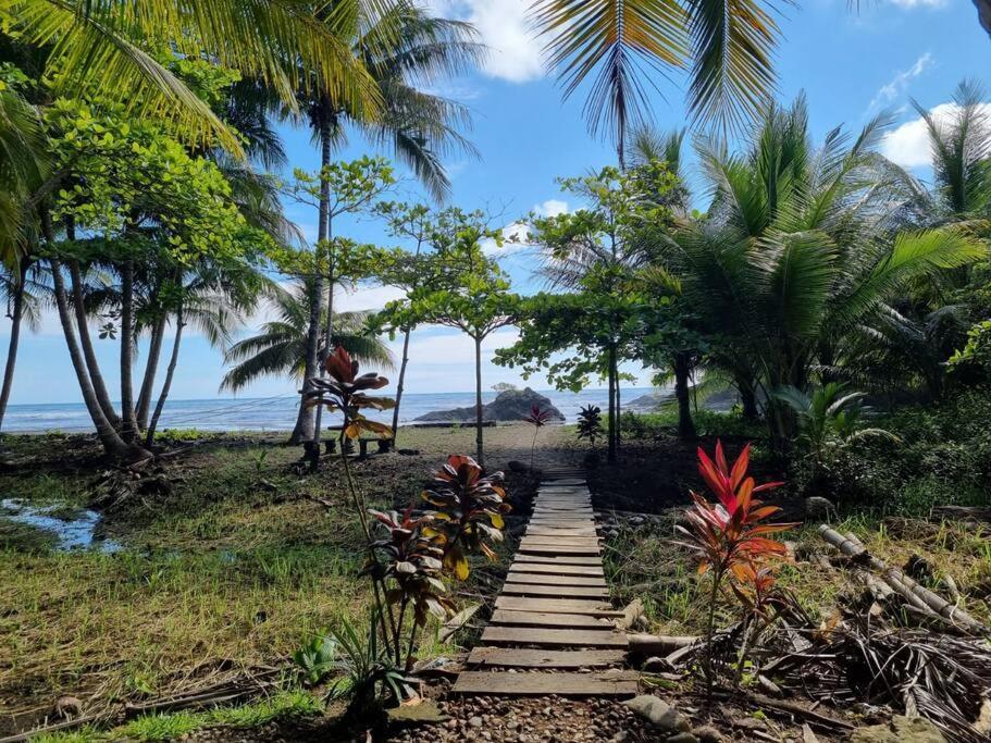 Villa Amor Del Mar With Breathtaking View Of Ocean & Jungle Dominical Bagian luar foto