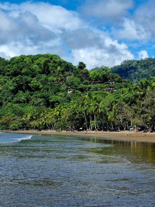 Villa Amor Del Mar With Breathtaking View Of Ocean & Jungle Dominical Bagian luar foto