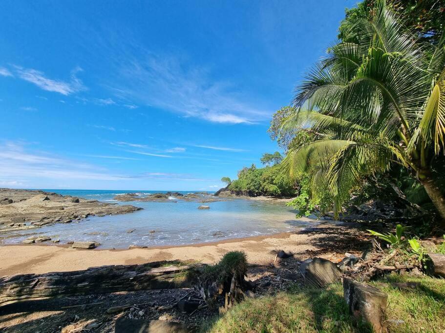 Villa Amor Del Mar With Breathtaking View Of Ocean & Jungle Dominical Bagian luar foto