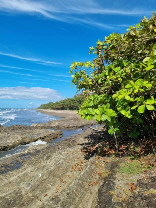 Villa Amor Del Mar With Breathtaking View Of Ocean & Jungle Dominical Bagian luar foto